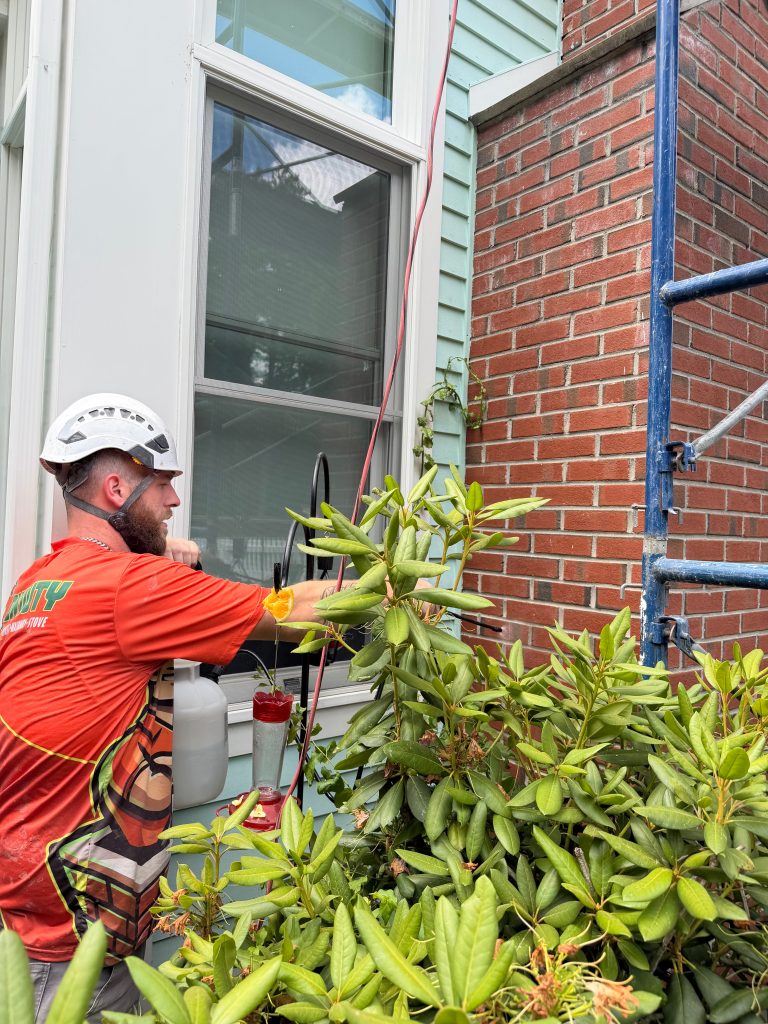 Chimney masonry waterproofing and water sealing